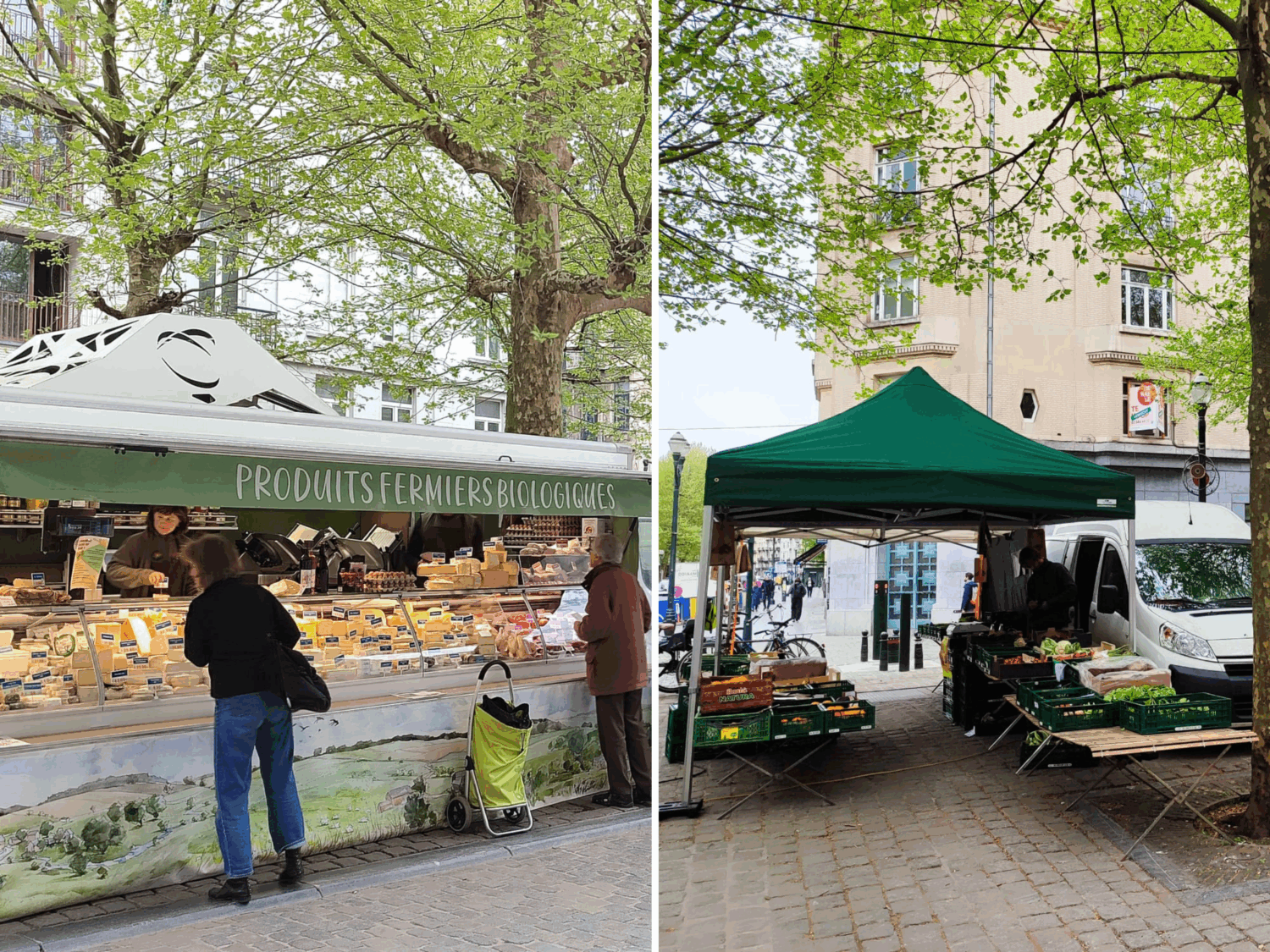 Marché Bio Sainte Catherine