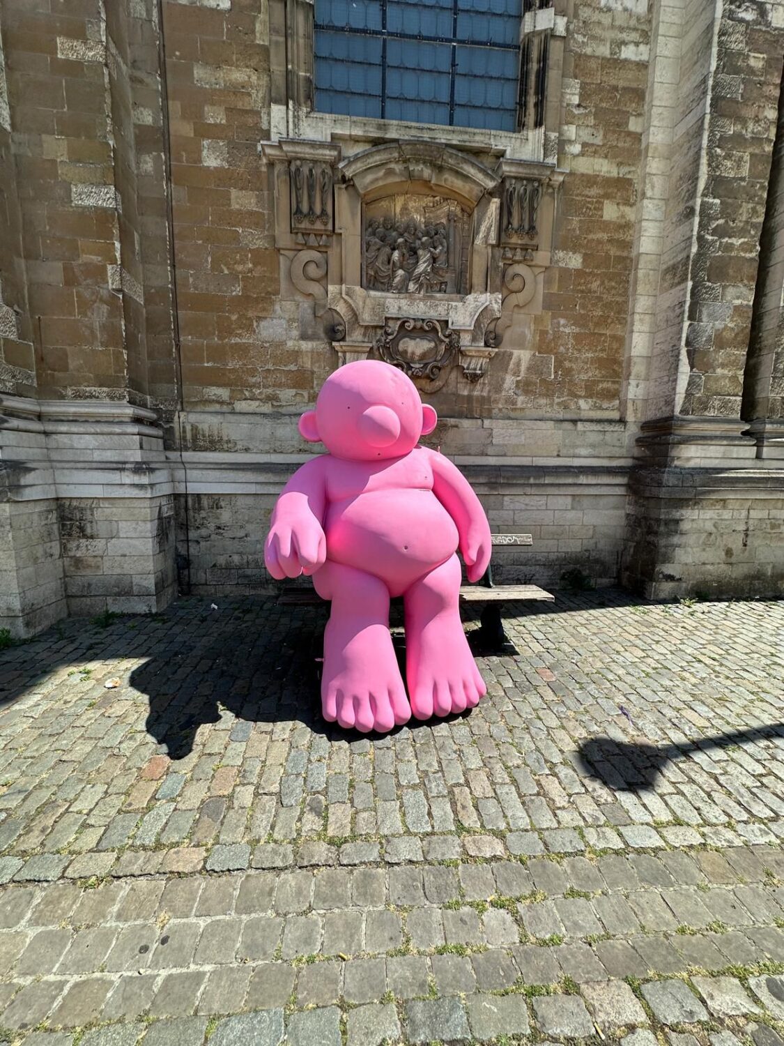 Monsieur Rose, parcours